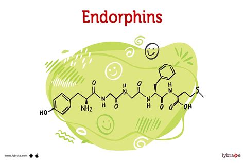 beta endorphin|Endorphins: What They Are and How to Boost Them .